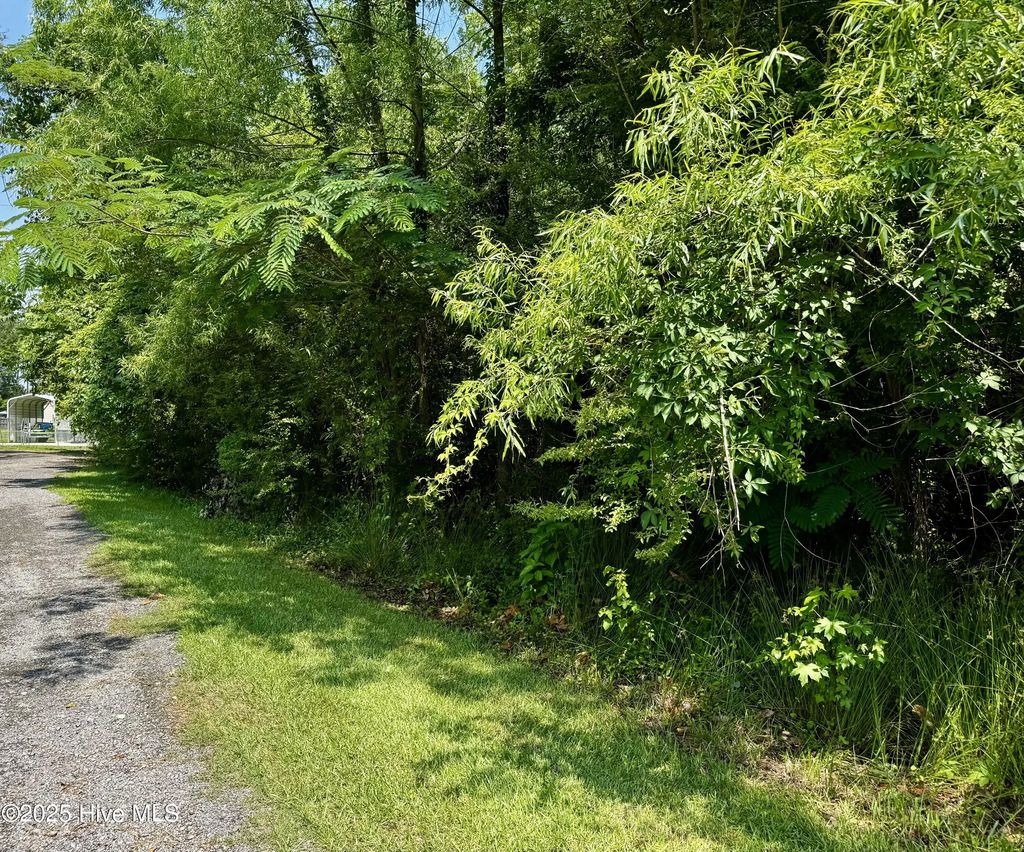 109-113 Iowa Trail, Edenton