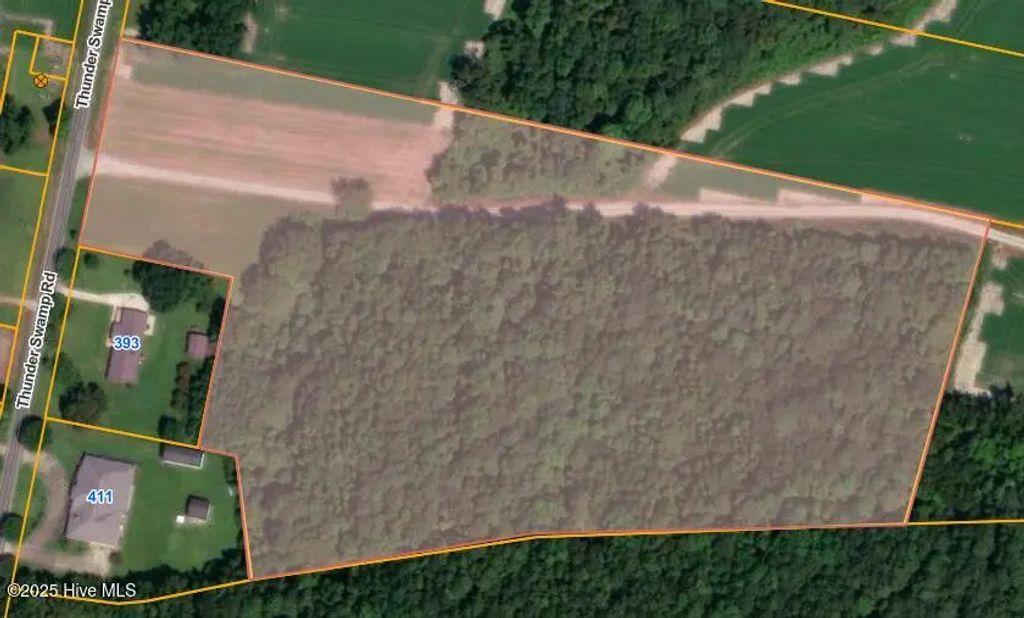 Parcel 3 Thunder Swamp Road, Mount Olive
