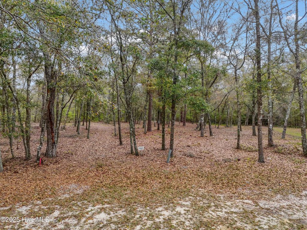 584 Asphodel Drive Sw, Supply