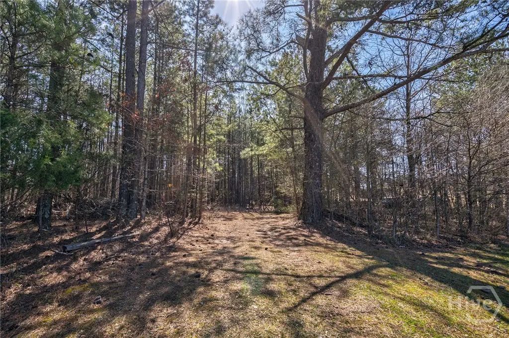 202 Kent Rock Road Tract 4, Loganville