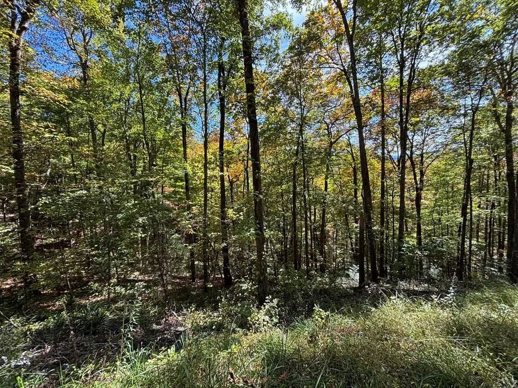 Lots 3 & 4 Holly Ridge Road, Topton