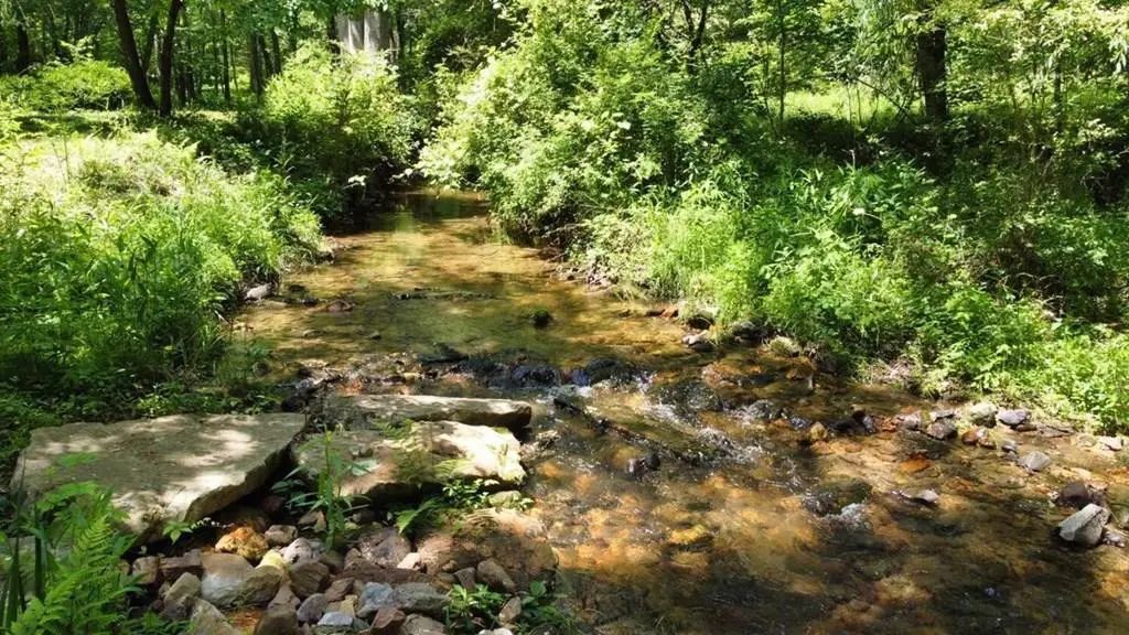 Tract 1 Timber Ridge Road, Other