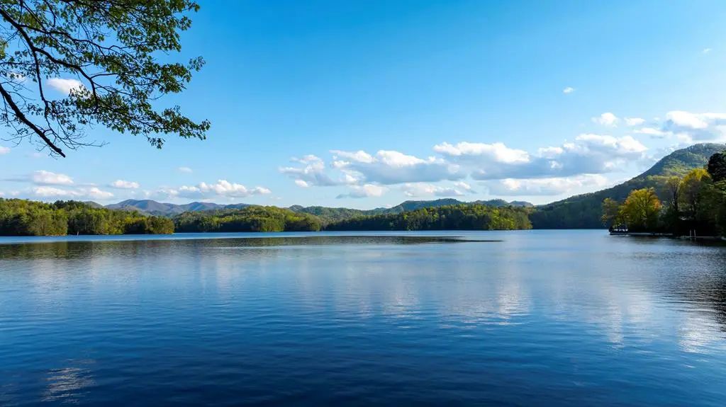 10 Santeetlah Lakeside, Lake Santeetlah
