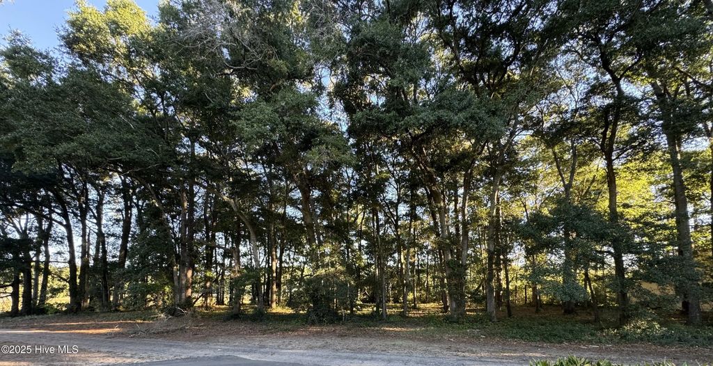 594 Medcalf Drive Sw, Sunset Beach