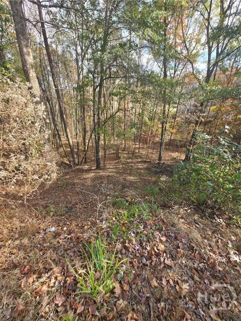 2412 Snowshoe Bend, Bethlehem