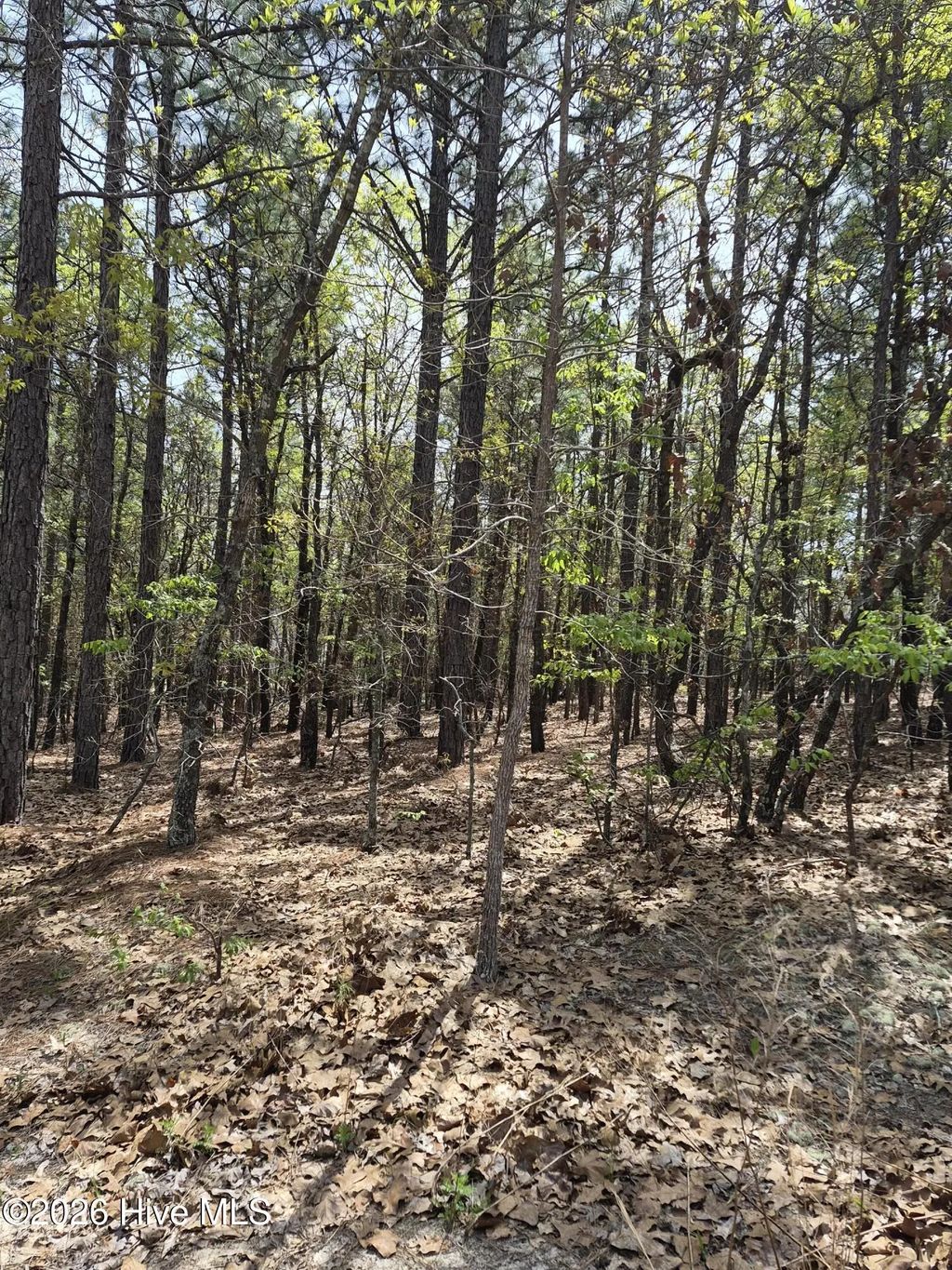 4 Brassie Lane, Foxfire Village