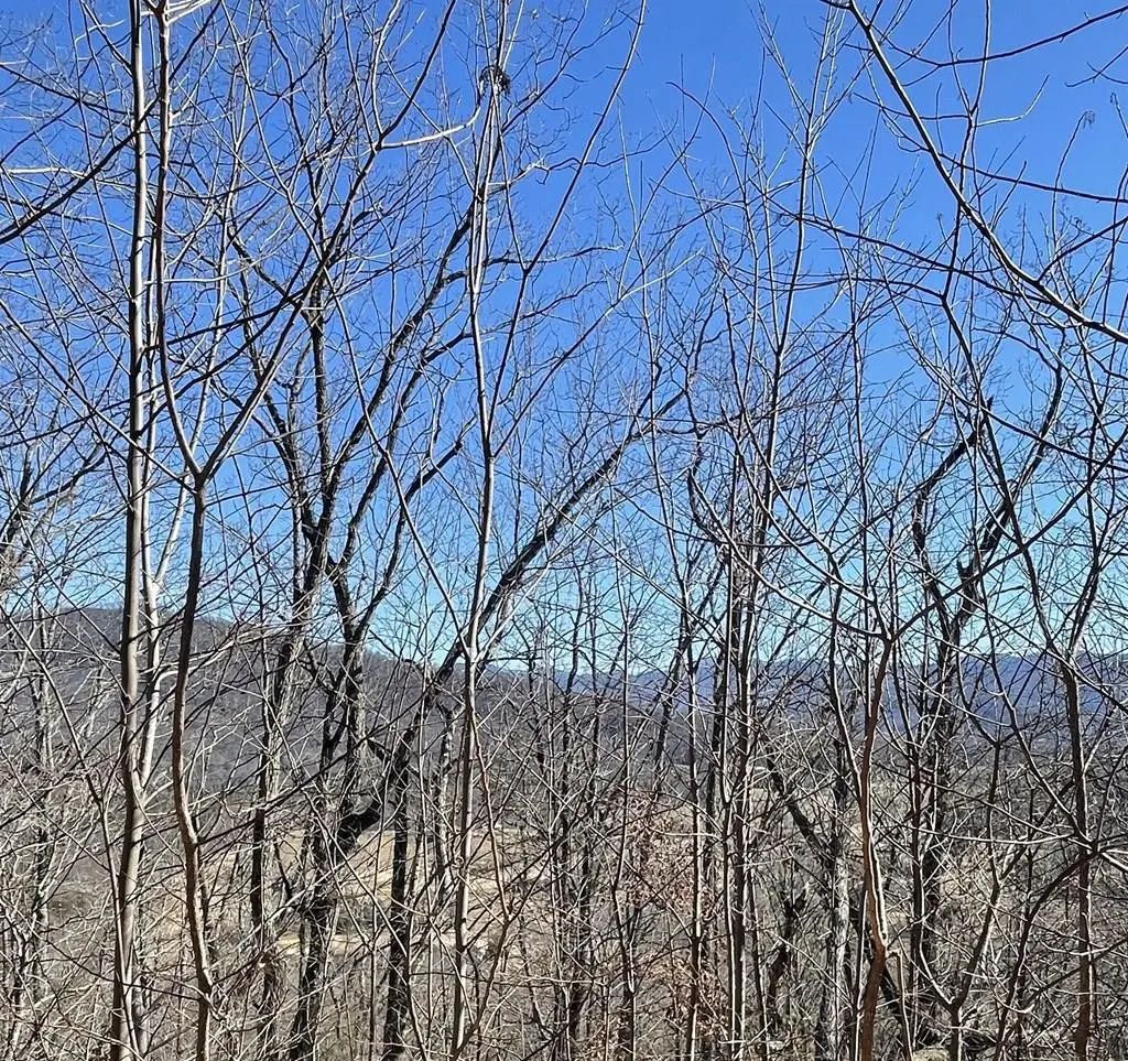 60 & 61j Mountain Harbour, Hayesville