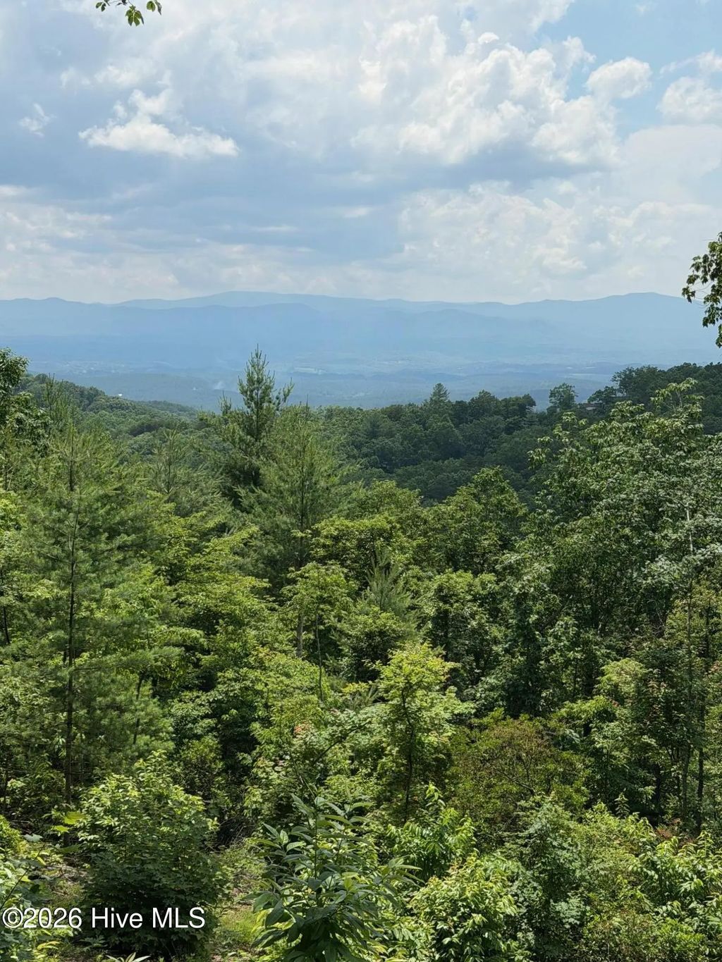 340 Lazy Country Cove Road, Murphy