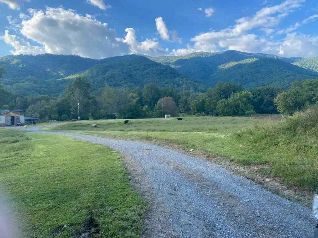 10617 Highway 64 E, Hayesville