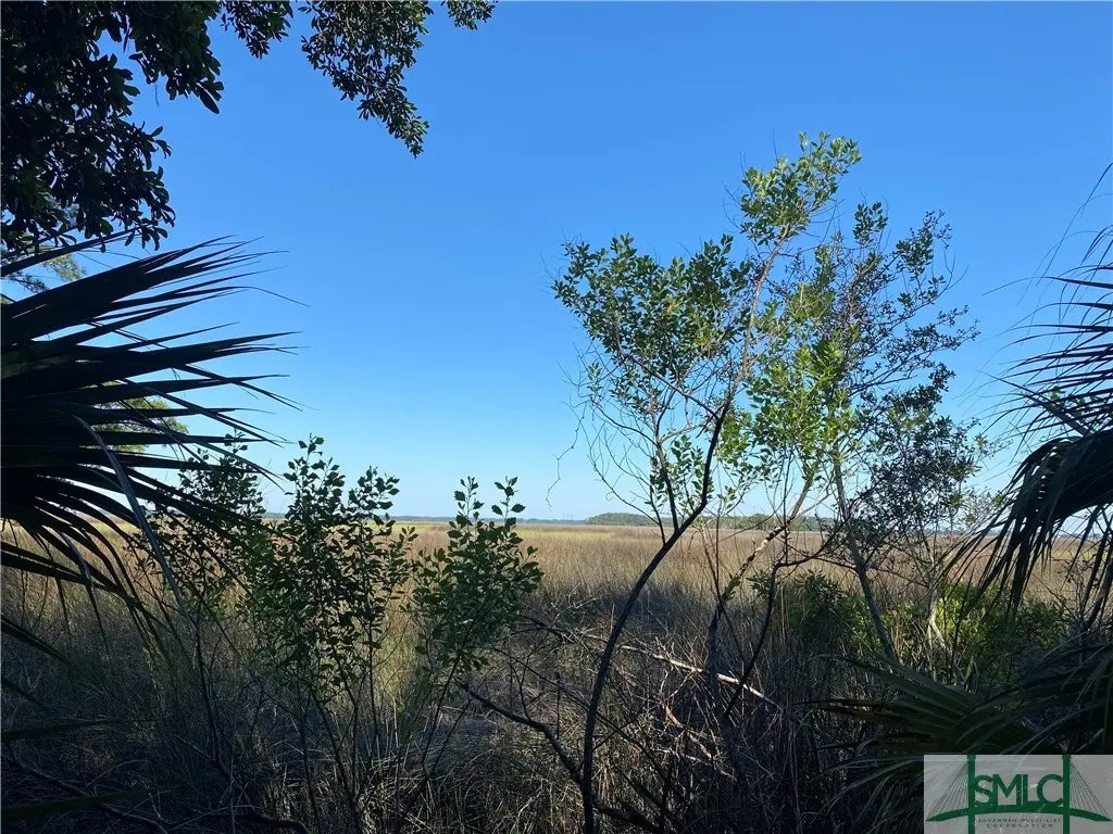 363 Coffee Bluff Villa Road, 