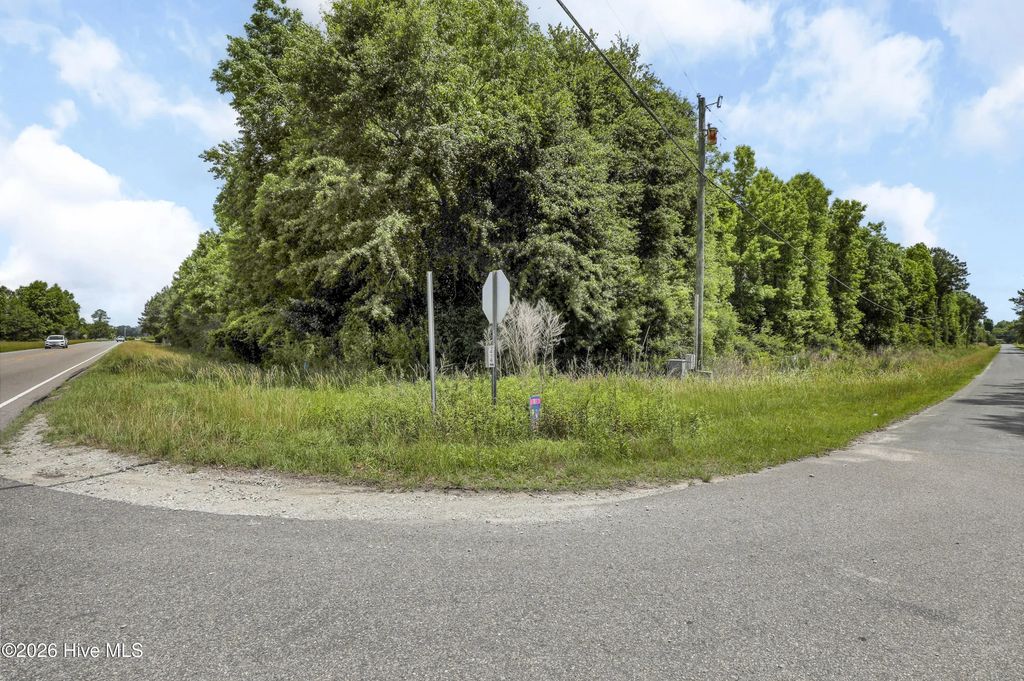 Lot 1 Us Hwy 117 Bypass S, Burgaw