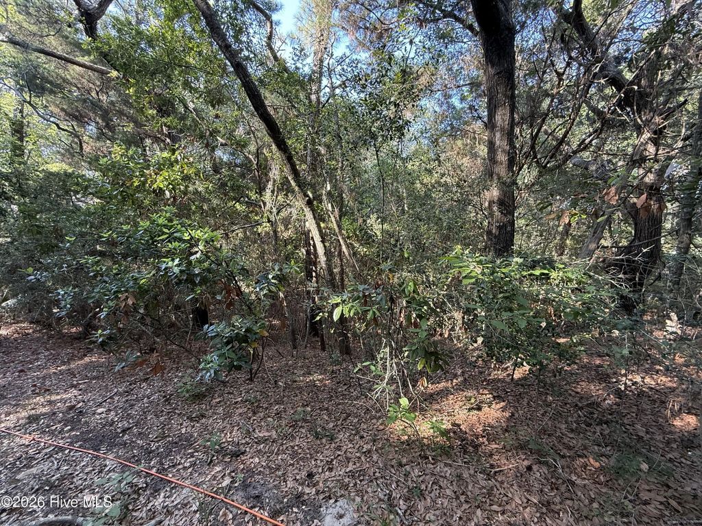 53 Fort Holmes Trail, Bald Head Island
