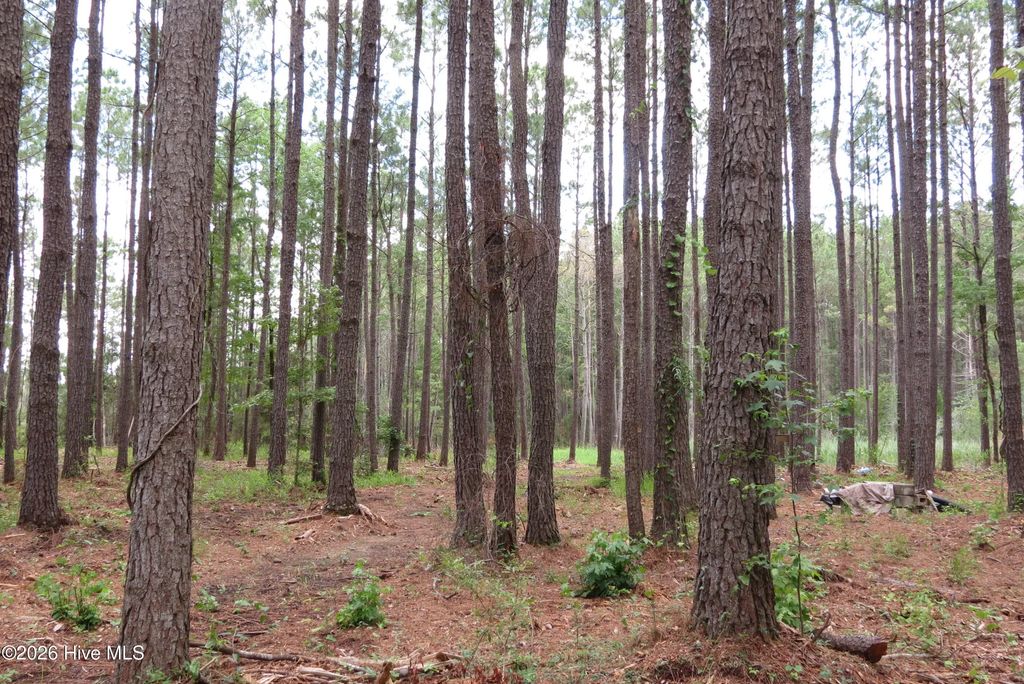 3231 Orchard Creek Road, Oriental