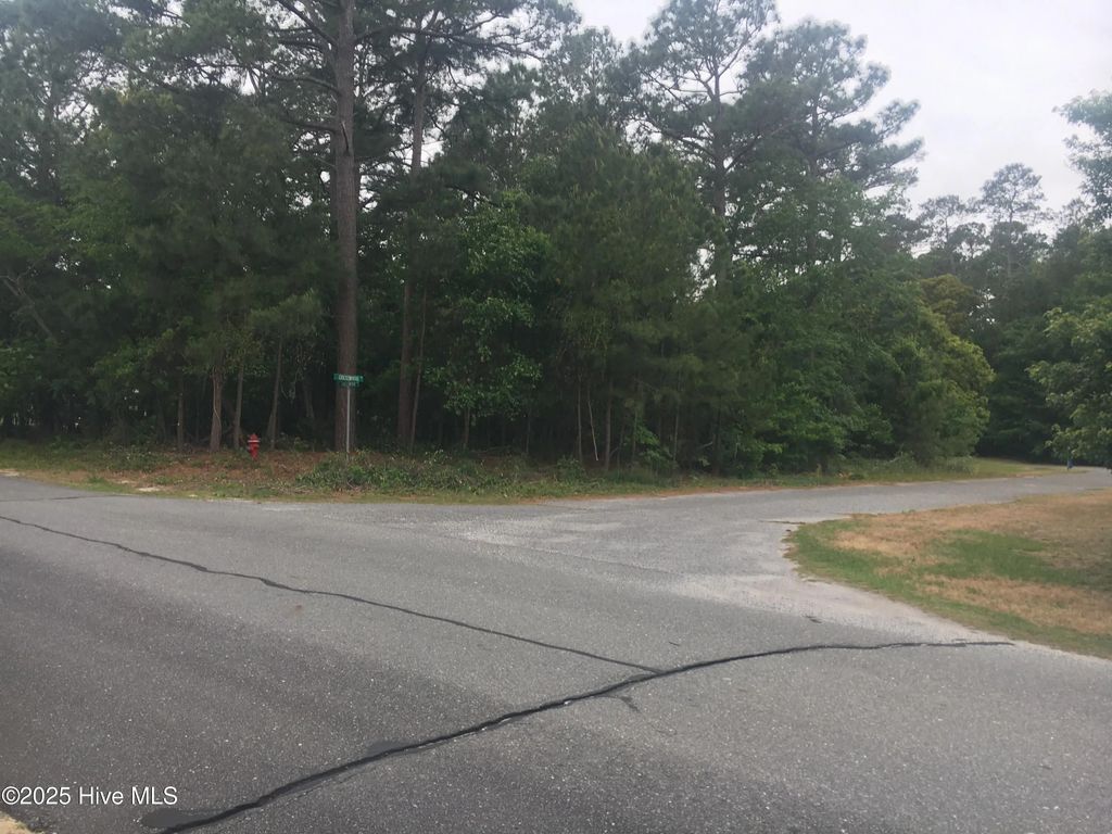 300 Crestwood Drive, Goldsboro