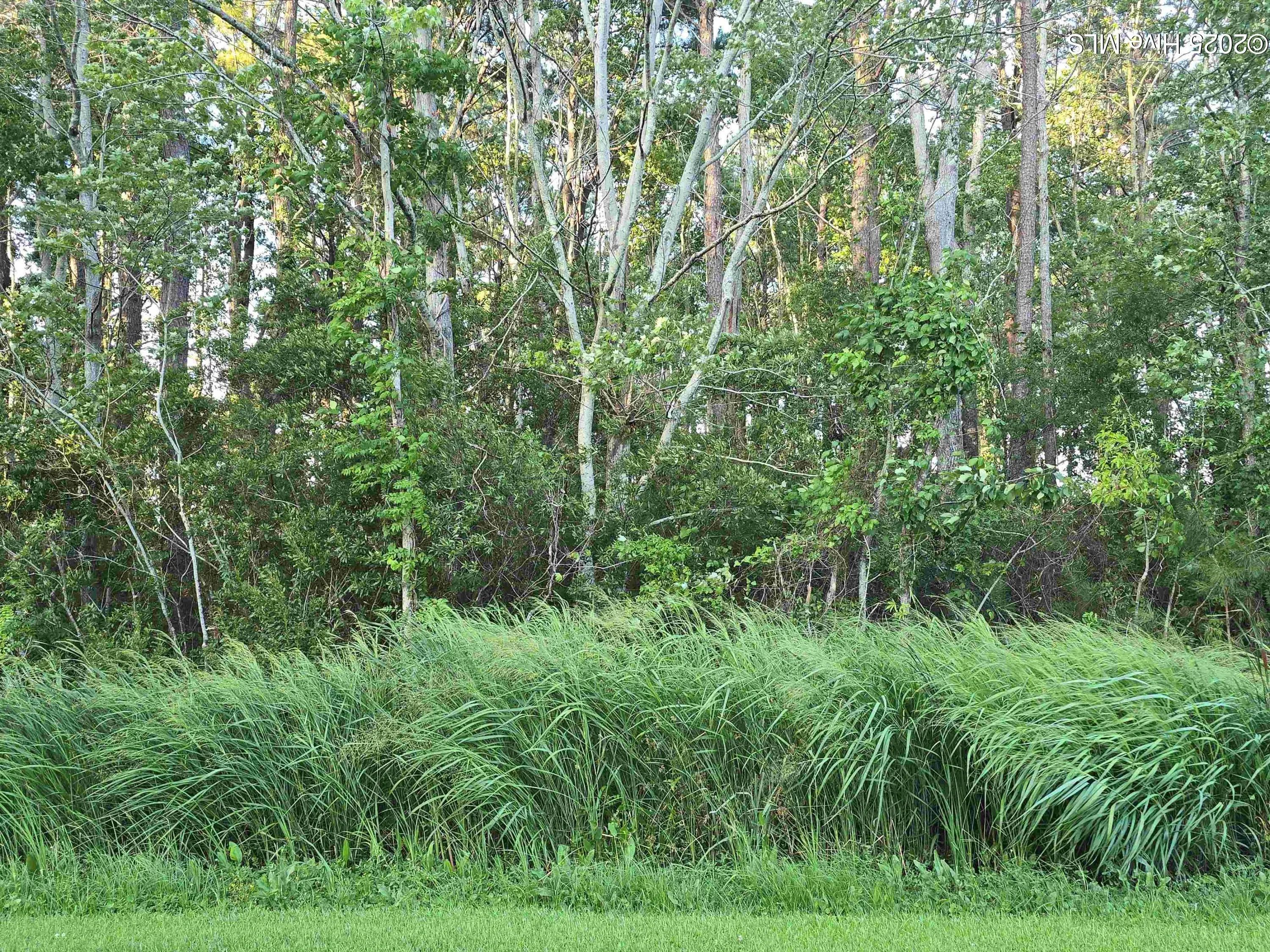 104 Spindrift Trail, Elizabeth City