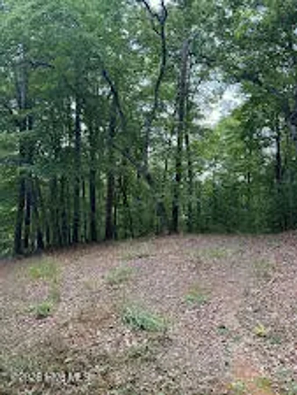 Lot #46 Pine Cove Lane, Murphy