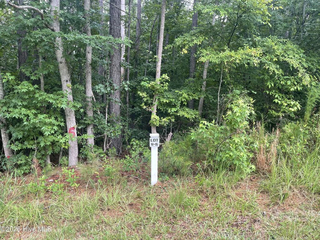 Lot M-16 Cavalry Run, North Augusta