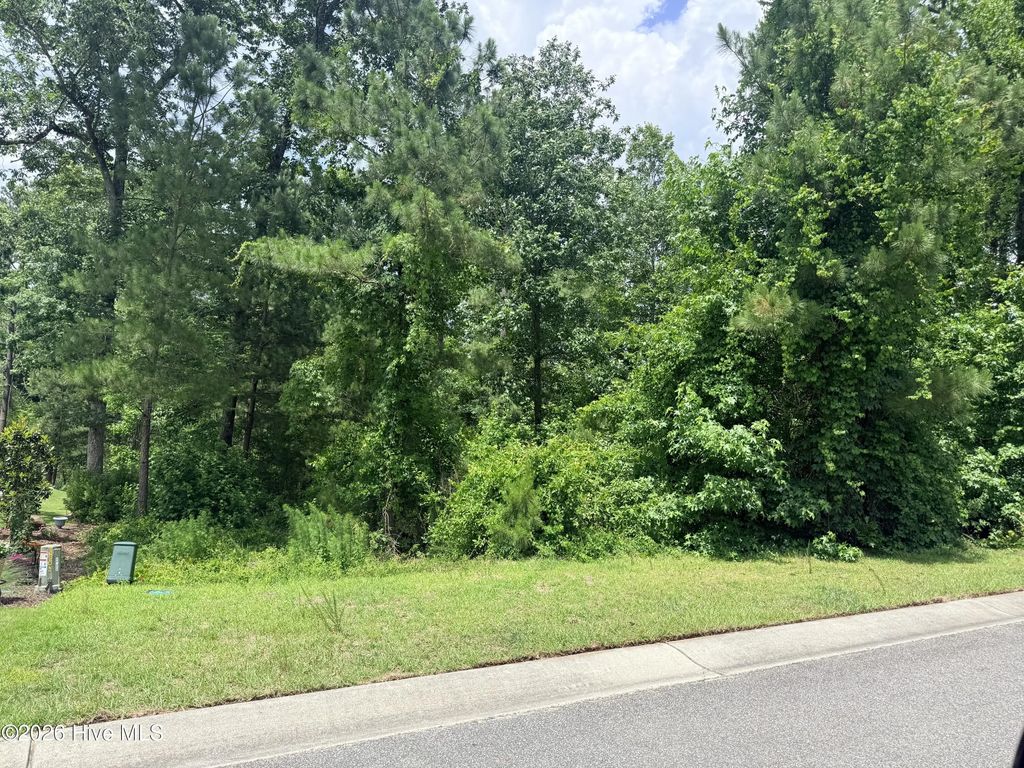 9661 Sweet Apple Lane Ne, Leland