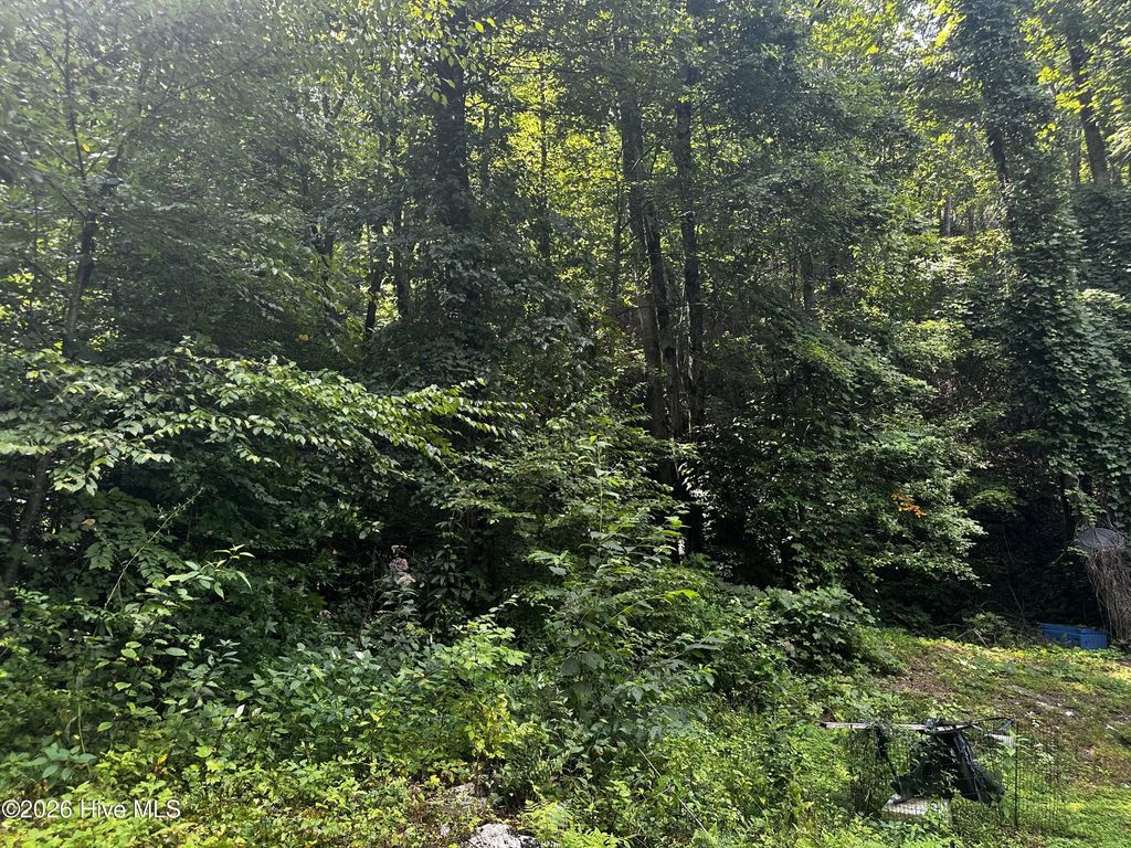 2710 Junaluska Road, Andrews