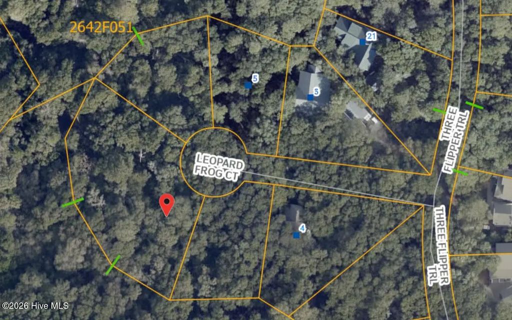 8 Leopard Frog Court, Bald Head Island