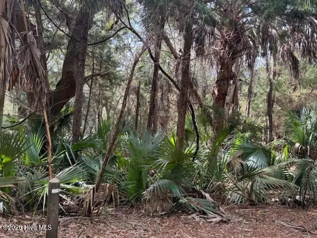 4 Dowitcher Trail, Bald Head Island