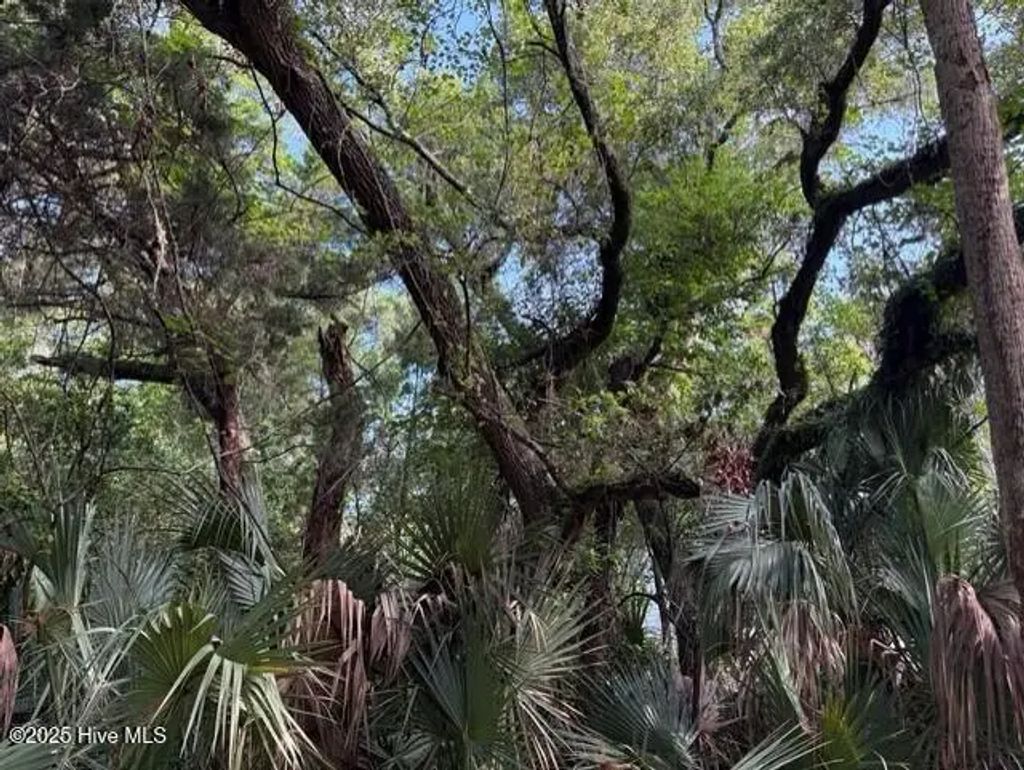 207 Muscadine Wynd, Bald Head Island