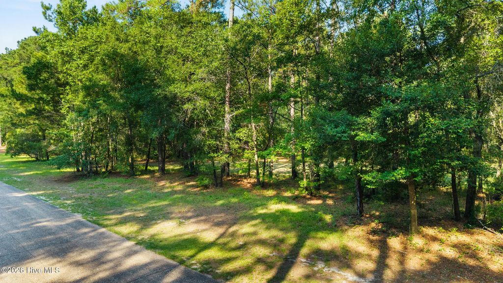230 River Woods Drive, Wallace