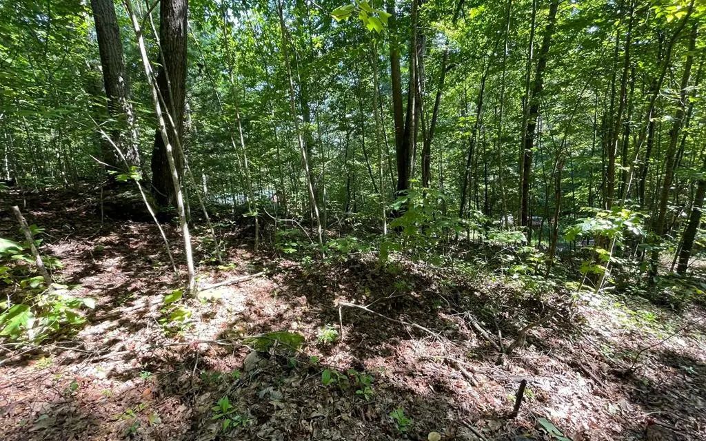 Lot 8d Eagle Heights, Other