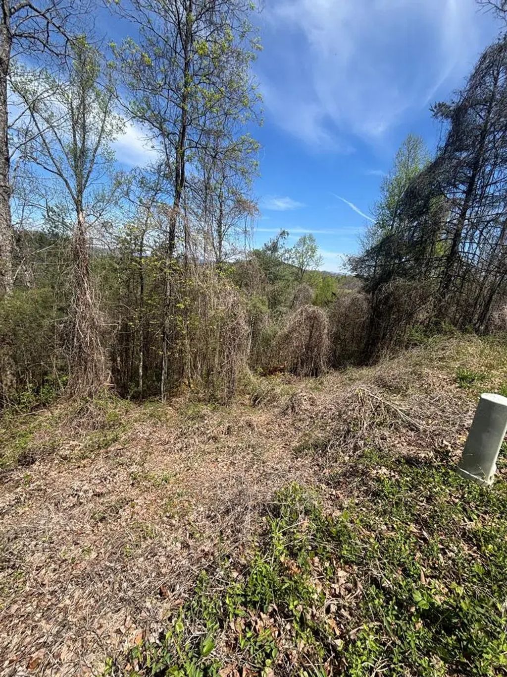 200 Carolina Fox Circle, Hiwassee Dam