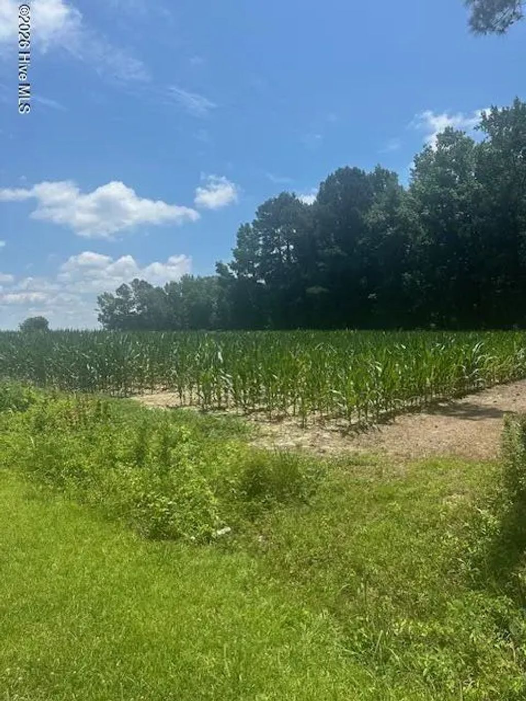 Near 721 Joe Piver Road, Chadbourn
