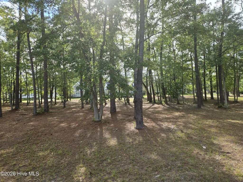 6724 Summerhill Glen Sw, Ocean Isle Beach