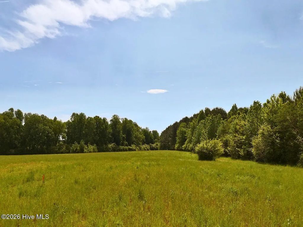 0 Old Chinquapin Road, Beulaville