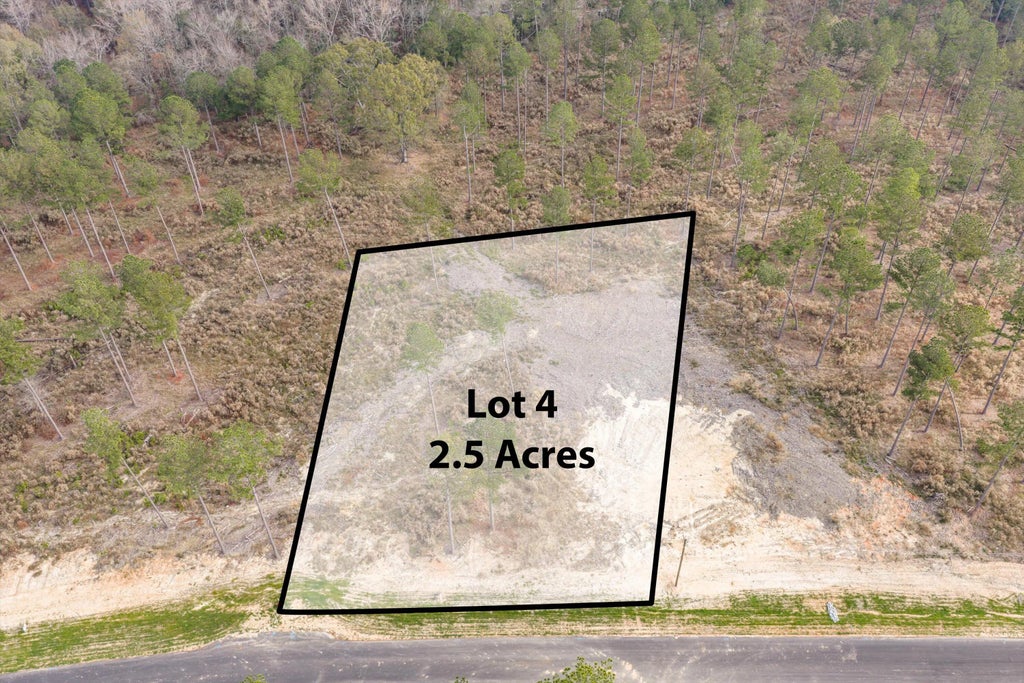 135 Beagle Chase Drive, Appling