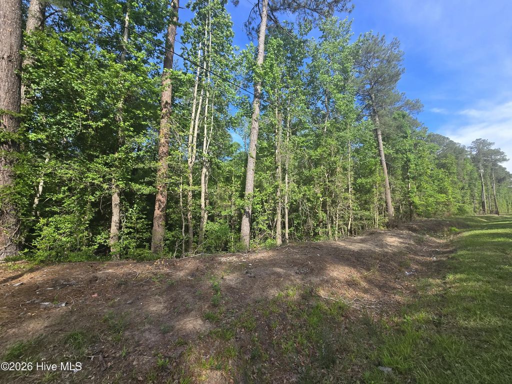 Tbd Cabins Creek Road, Vass