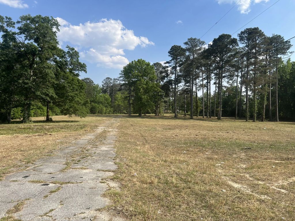 323 Forrest Clary Drive, McDuffie