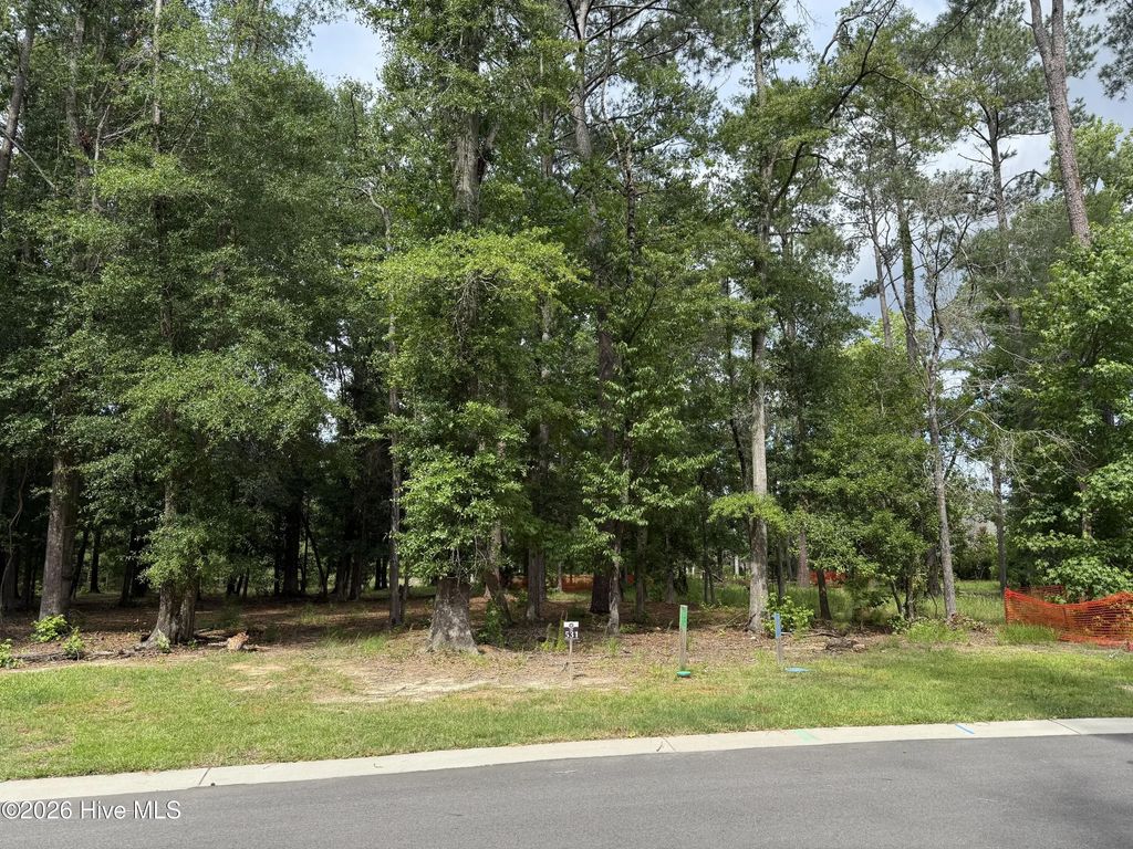 3698 Excelsior Lane, Castle Hayne