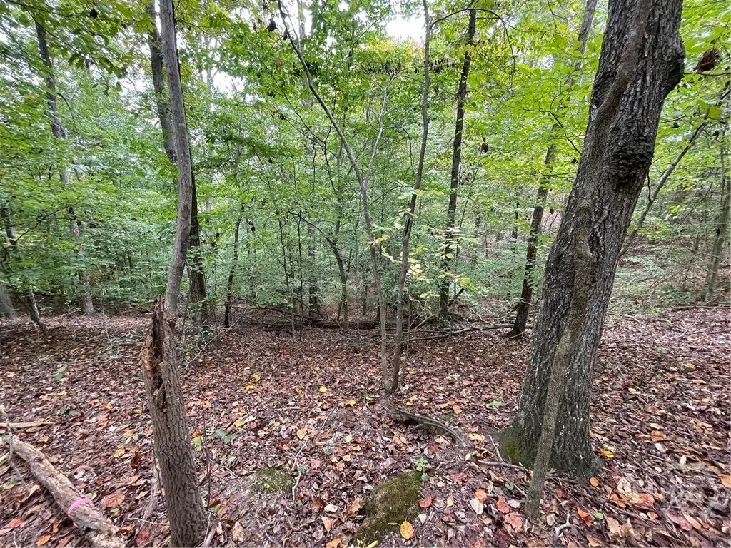 Lot 296 Oconee Avenue, Westminster