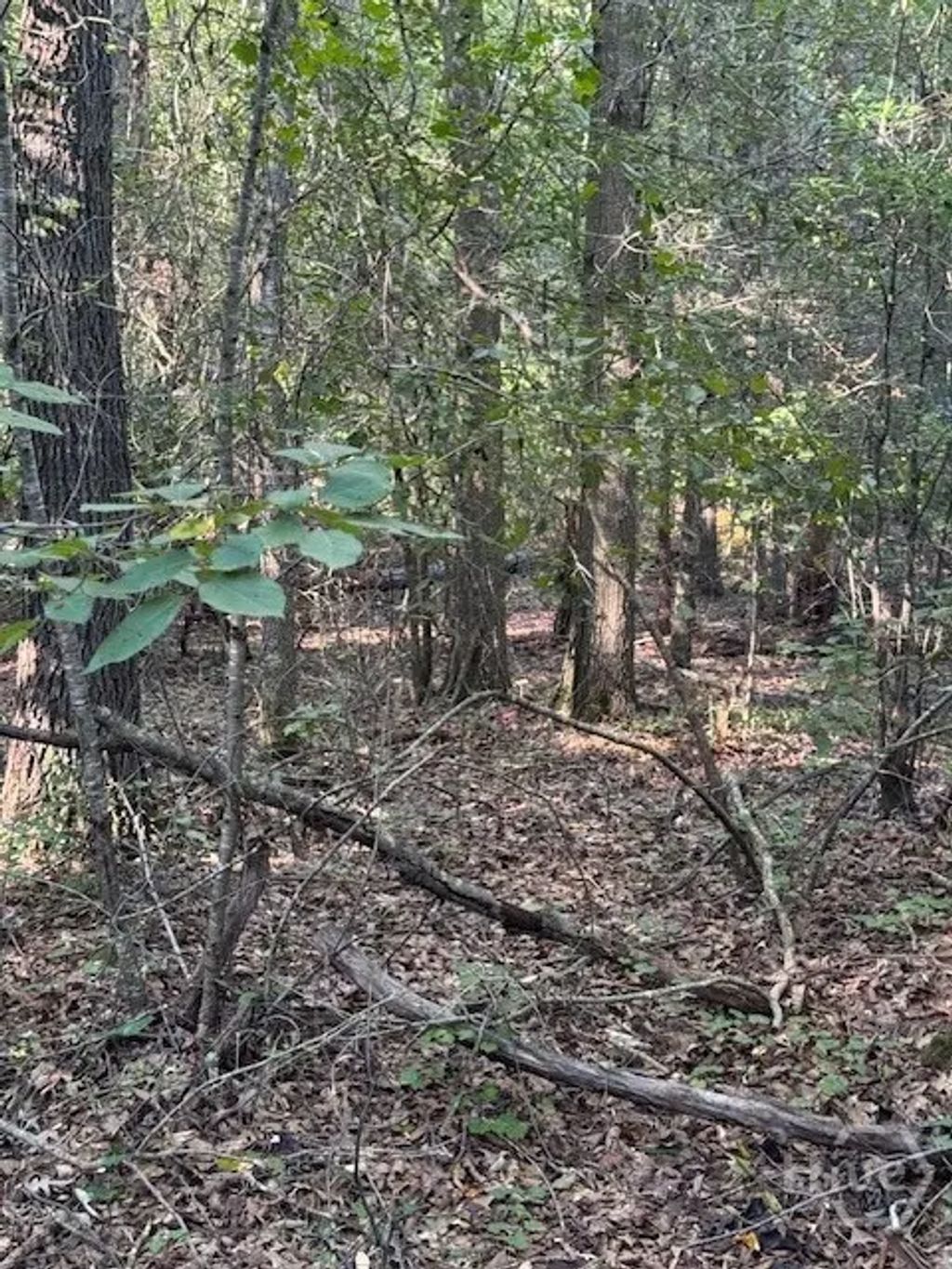 0 Rita Ridge Lot 8, Jefferson