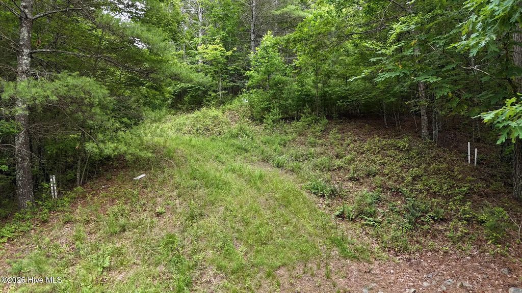 00 Choctaw Ridge Trail, Murphy