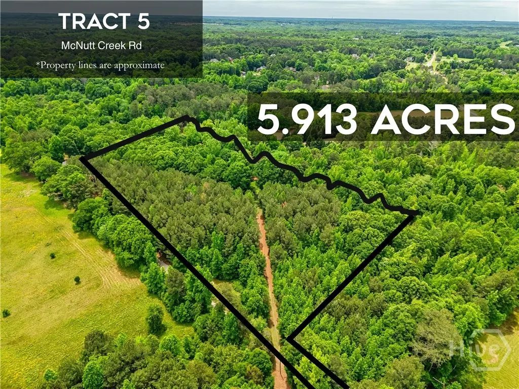 Tract 5 Mcnutt Creek Road, Bogart