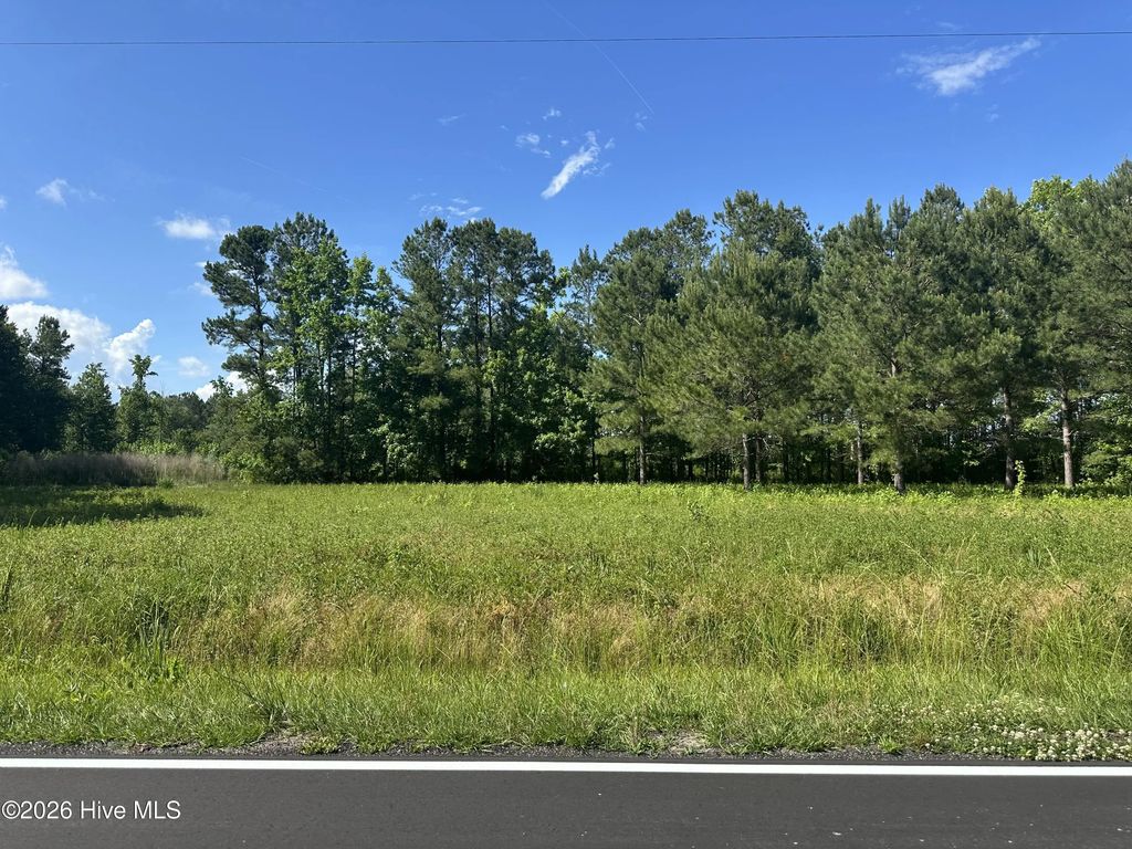 Near 594 Big Cypress Road, Nakina