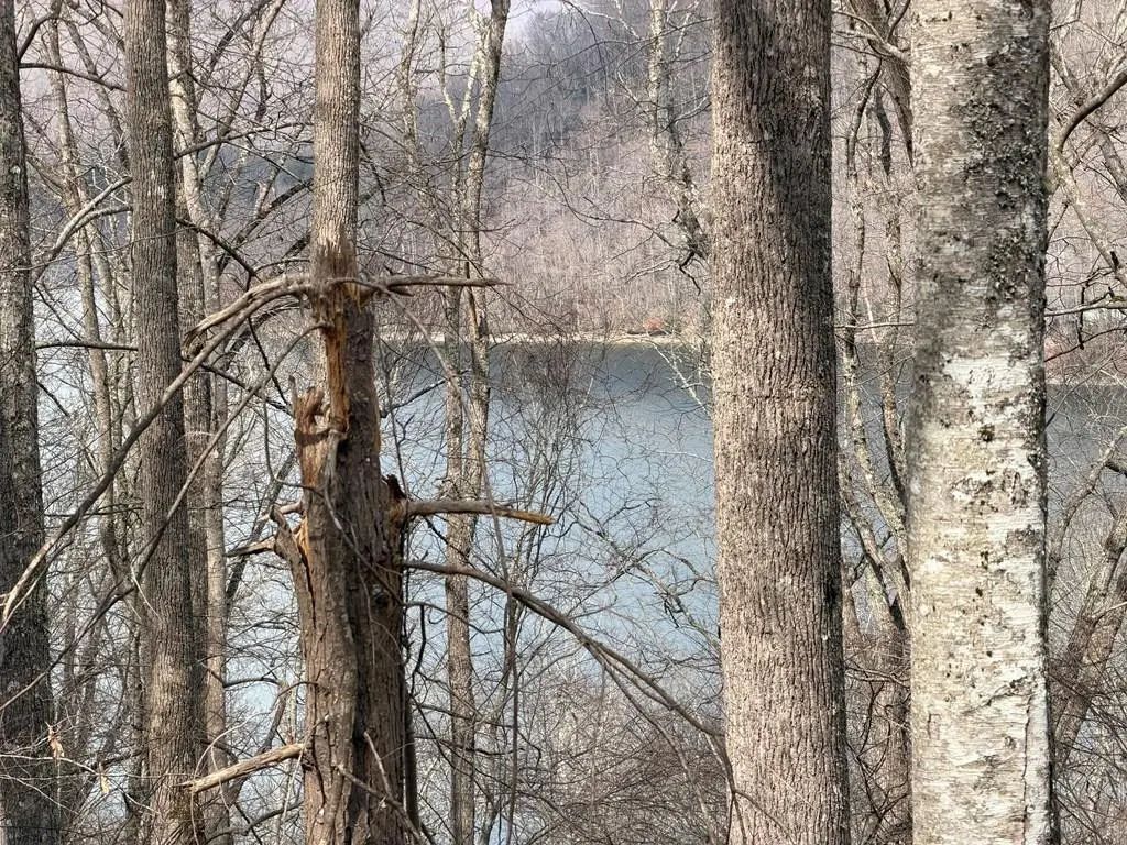 Lot #12 Lake Vista Circle, Topton