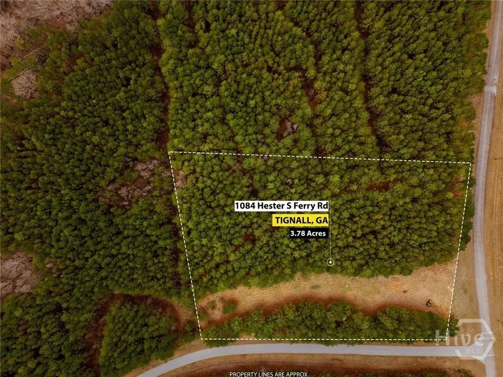 1084 S Hesters Ferry Road, Tignall