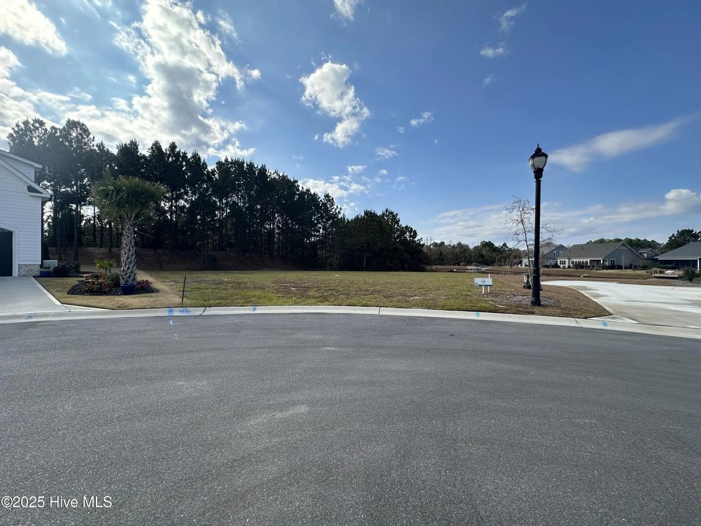 2216 Palm Pointe Ne, Leland