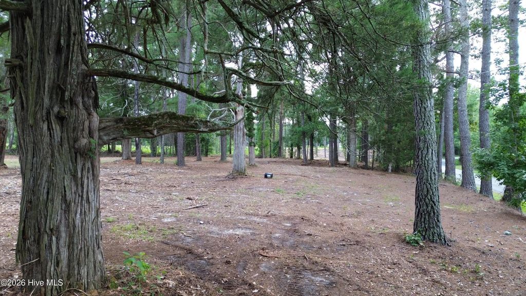 Tbd/lot 2 Elmore, Laurinburg