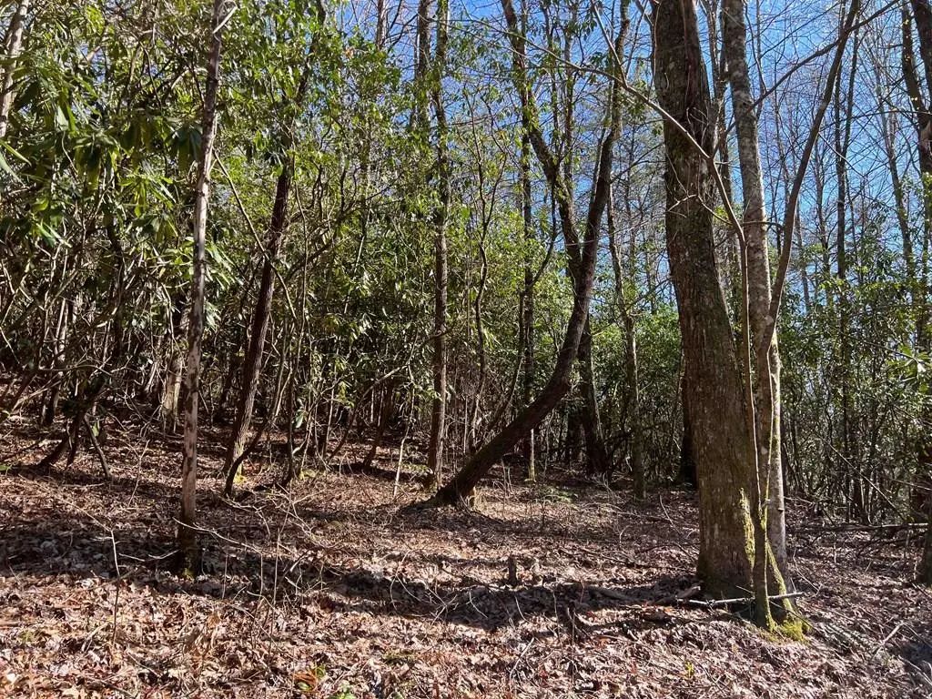 4.90 Wayah Road, Nantahala