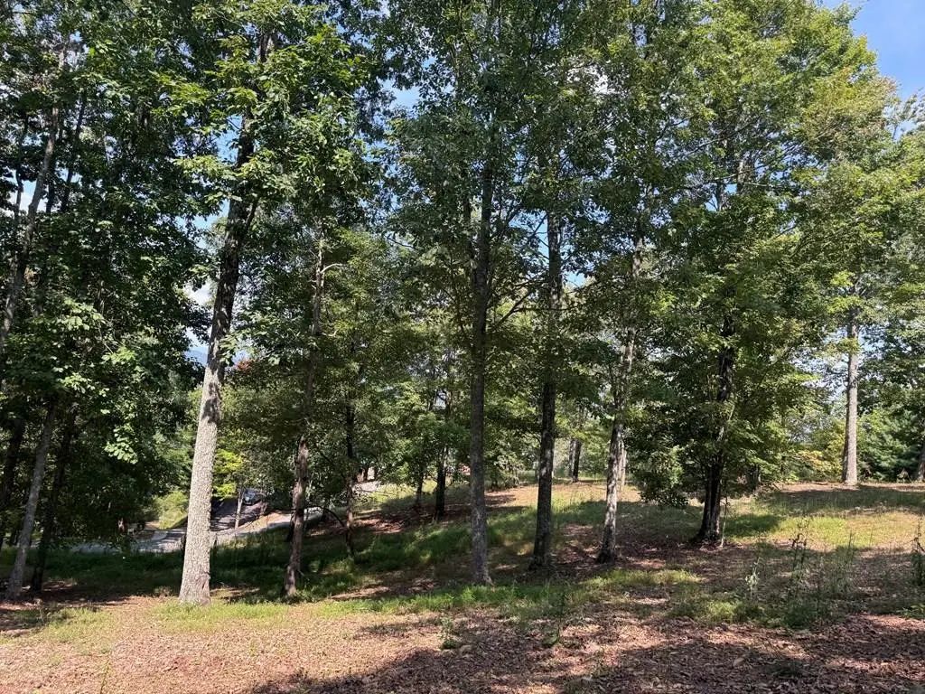 0 Madison Lane, Brasstown
