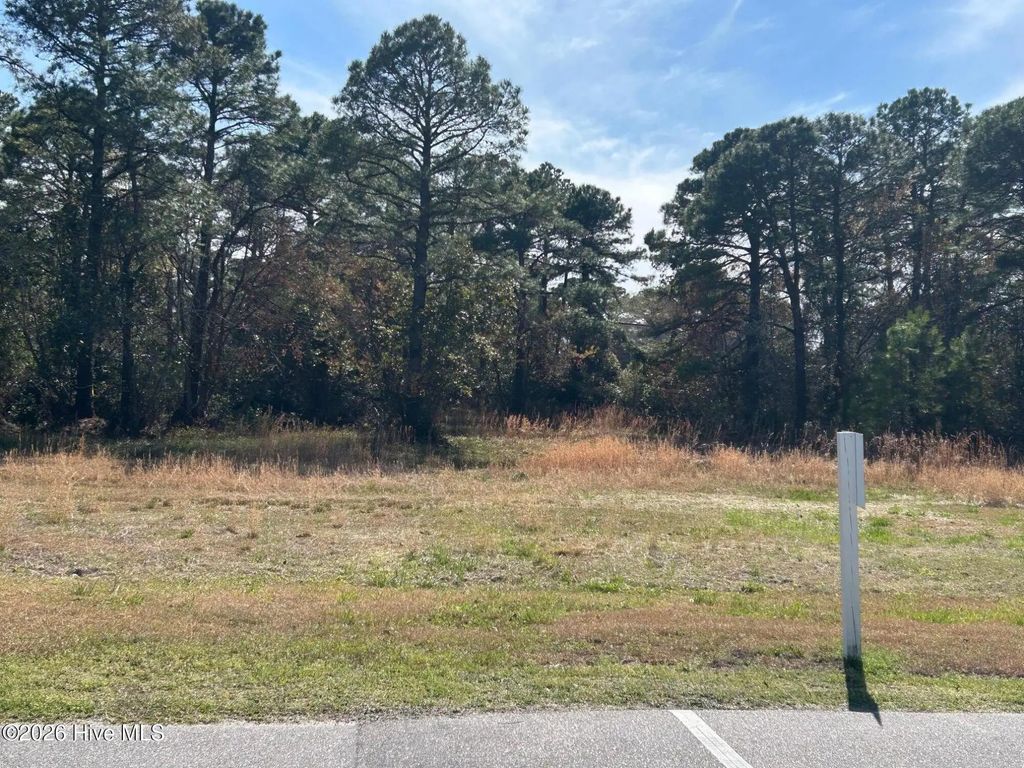 1609 Caracara Drive, New Bern