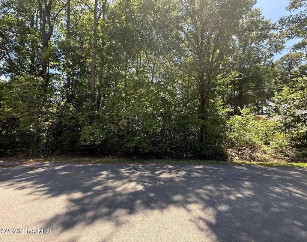 0 Clydes Drive, Williamston