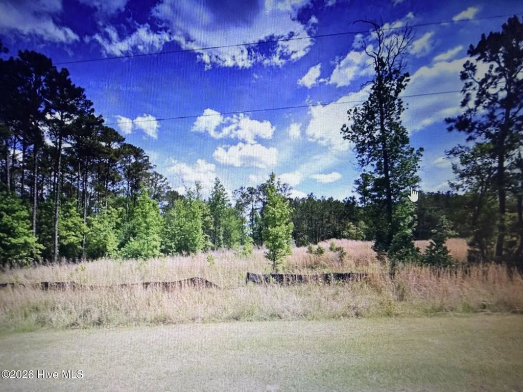 1019 Eagles Nest Trail, Tignall